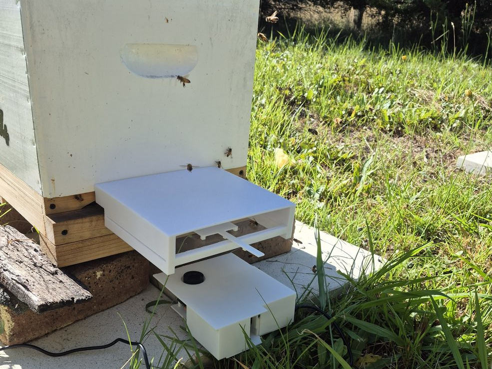 Overall hive setup with platform and camera